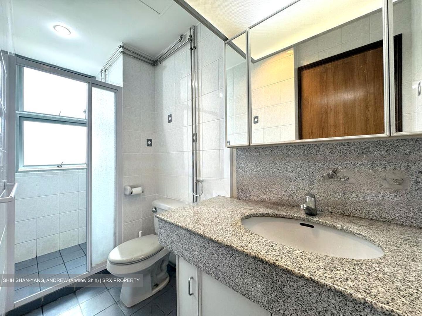 Astor Green (D21), Condominium #453666581